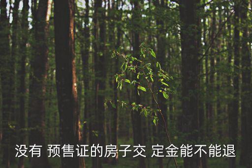 沒有預(yù)售證怎么把定金要回來,樓盤沒有預(yù)售證交定金能要回來嗎