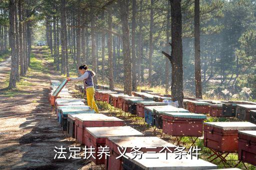法定扶養(yǎng) 義務(wù)三個(gè)條件