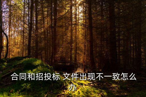 合同必須與招標(biāo)文件一致嗎,招標(biāo)文件和合同不一致如何處理