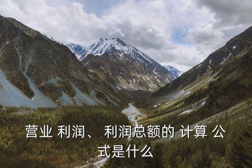 經(jīng)營利潤計算公式,調(diào)整后的稅后凈經(jīng)營利潤計算公式