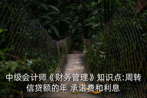 中級(jí)會(huì)計(jì)師《財(cái)務(wù)管理》知識(shí)點(diǎn):周轉(zhuǎn)信貸額的年 承諾費(fèi)和利息