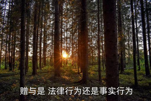贈(zèng)與的法律規(guī)定,兄弟姐妹財(cái)產(chǎn)贈(zèng)與的法律規(guī)定