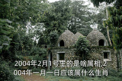 2004年2月1號(hào)生的是啥屬相,2004年一月一日應(yīng)該屬什么生肖