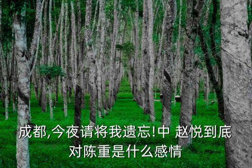 成都,今夜請將我遺忘!中 趙悅到底對陳重是什么感情