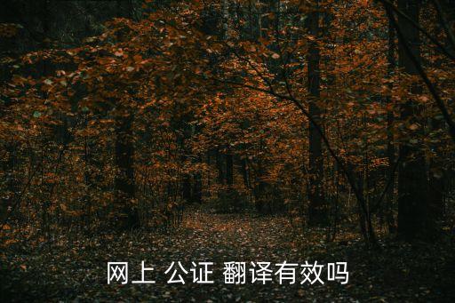 網(wǎng)上 公證 翻譯有效嗎