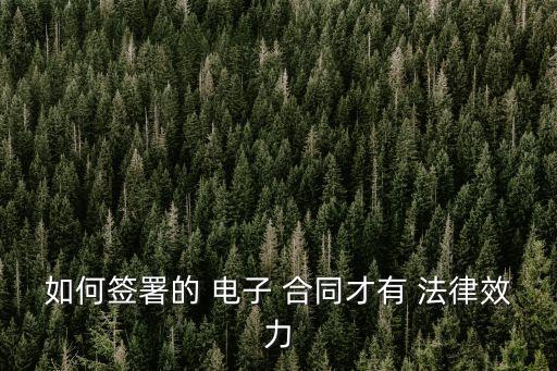 電子合同怎么簽具有法律效益,個(gè)人電子合同怎么簽