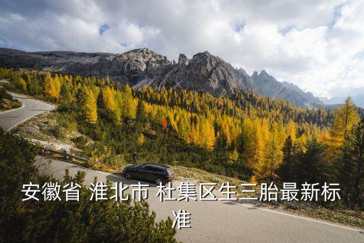 安徽省 淮北市 杜集區(qū)生三胎最新標(biāo)準(zhǔn)