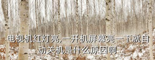 電視機(jī)紅燈亮,一開(kāi)機(jī)屏幕亮一下就自動(dòng)關(guān)機(jī)是什么原因啊