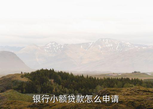 銀行小額貸款怎么申請