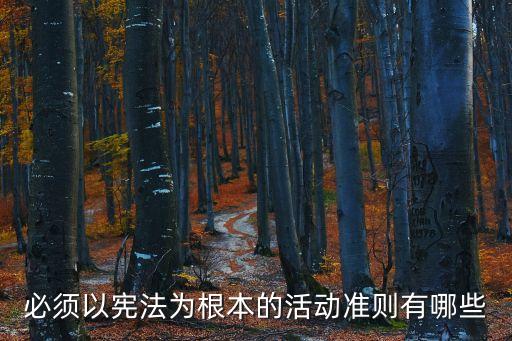 必須以憲法為根本的活動準(zhǔn)則有哪些