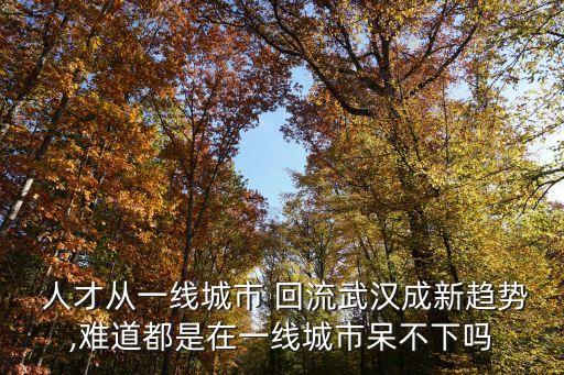  人才從一線城市 回流武漢成新趨勢,難道都是在一線城市呆不下嗎