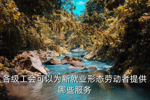 各級(jí)工會(huì)可以為新就業(yè)形態(tài)勞動(dòng)者提供哪些服務(wù)