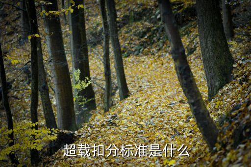 超載扣幾分,六個人超載扣幾分