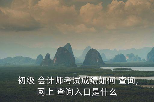  初級 會計師考試成績?nèi)绾?查詢,網(wǎng)上 查詢?nèi)肟谑鞘裁? class=