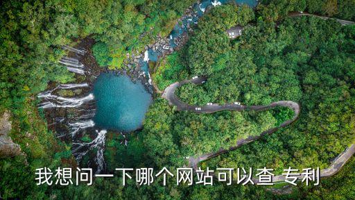 我想問一下哪個(gè)網(wǎng)站可以查 專利