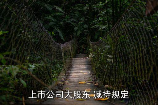 減持股份,為什么要減持股份