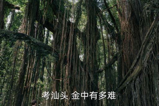 考汕頭 金中有多難