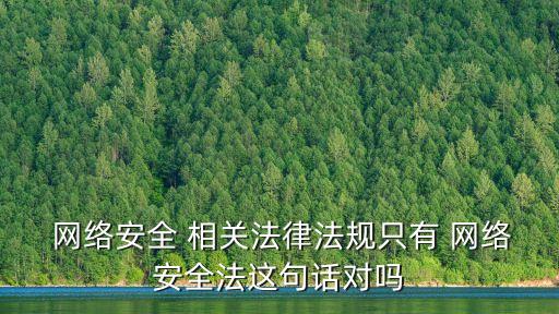  網(wǎng)絡(luò)安全 相關(guān)法律法規(guī)只有 網(wǎng)絡(luò)安全法這句話對(duì)嗎