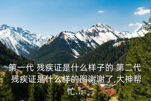 第二代殘疾證
