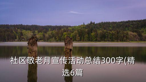老年法