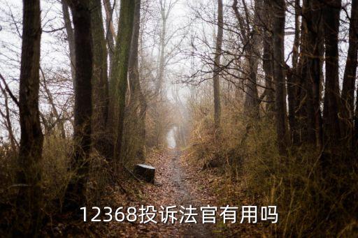 12368投訴法官有用嗎