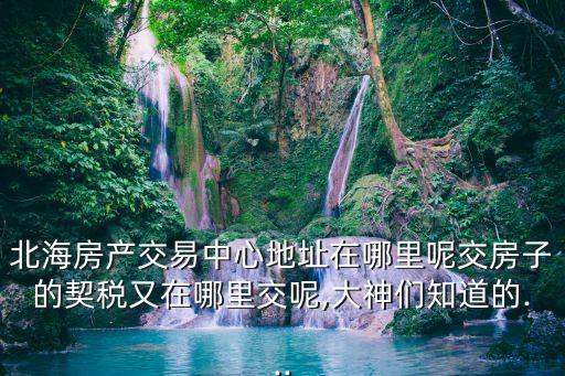 北海房產(chǎn)交易中心地址在哪里呢交房子的契稅又在哪里交呢,大神們知道的...