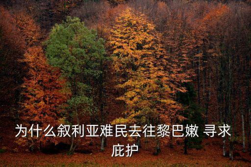 尋求庇護(hù),到不朽的事業(yè)中尋求庇護(hù)