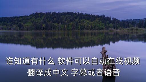 字幕翻譯的軟件,類似幫幫字幕翻譯的軟件