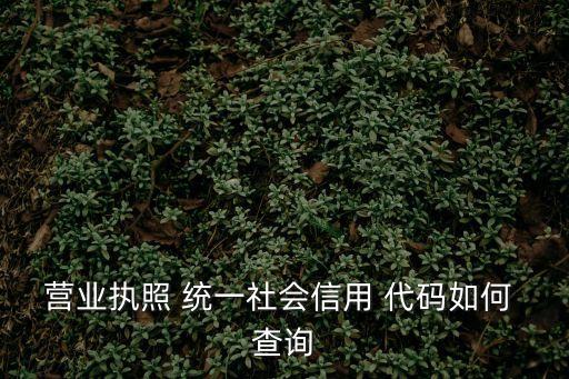 統(tǒng)一代碼查詢,全國組織結(jié)構(gòu)統(tǒng)一代碼查詢