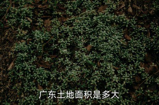 廣東省有多大