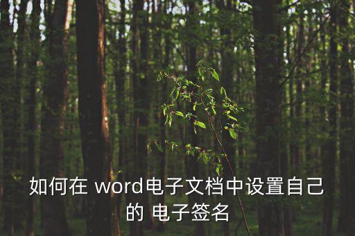 如何在 word電子文檔中設(shè)置自己的 電子簽名