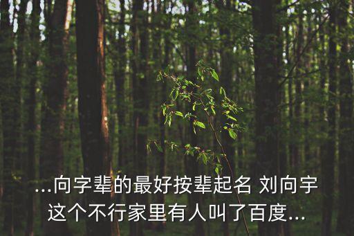 ...向字輩的最好按輩起名 劉向宇這個(gè)不行家里有人叫了百度...