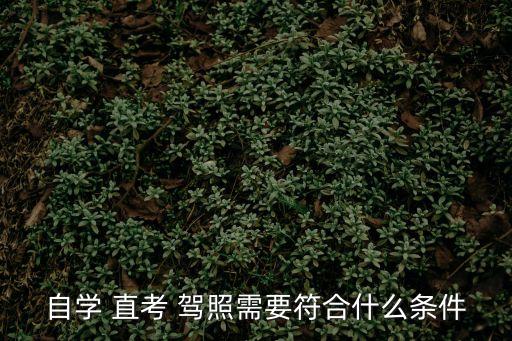 自學(xué) 直考 駕照需要符合什么條件