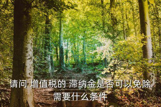 請(qǐng)問 增值稅的 滯納金是否可以免除需要什么條件