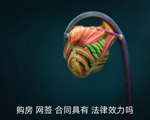 購房 網(wǎng)簽 合同具有 法律效力嗎