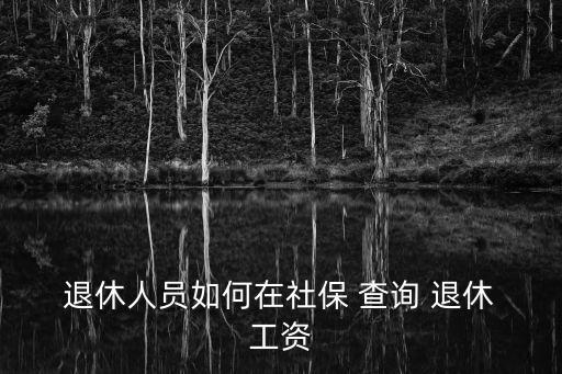  退休人員如何在社保 查詢 退休 工資
