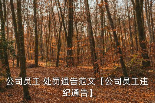 公司員工 處罰通告范文【公司員工違紀(jì)通告】