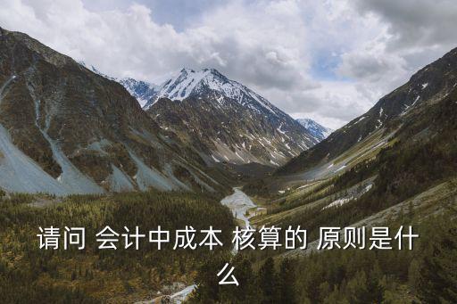 會計核算原則,政府會計核算原則