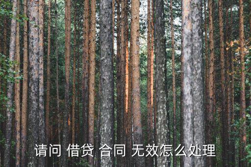 借貸合同無(wú)效的后果,約定利息過(guò)高,借貸合同無(wú)效