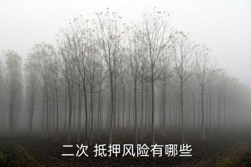 房產(chǎn)二次抵押危害,有按揭房怎樣二次貸款