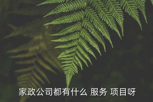  家政公司都有什么 服務 項目呀