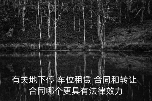 有關(guān)地下停 車位租賃 合同和轉(zhuǎn)讓 合同哪個(gè)更具有法律效力