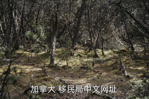 加拿大 移民局中文網(wǎng)址