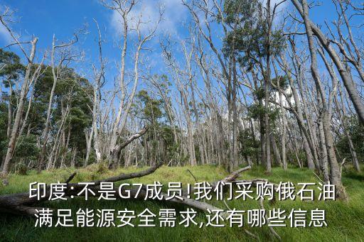 印度:不是G7成員!我們采購(gòu)俄石油滿足能源安全需求,還有哪些信息