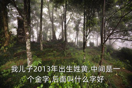 我兒子2013年出生姓黃,中間是一個金字,后面叫什么字好