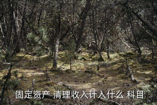  固定資產(chǎn) 清理收入計入什么 科目