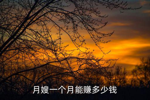 月嫂一個(gè)月能賺多少錢(qián)