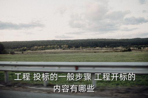 工程投標(biāo)