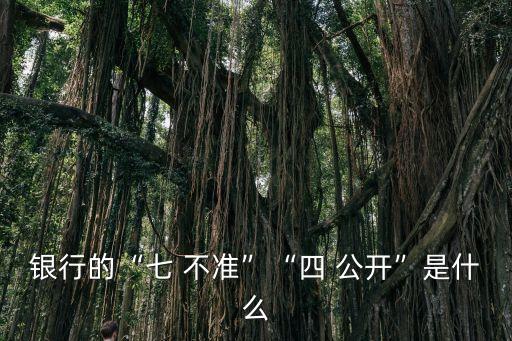 七不準(zhǔn)四公開,銀行行業(yè)規(guī)范七不準(zhǔn)四公開