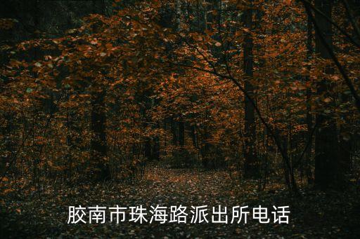膠州市公安局